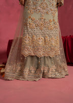 Dilzaib-1616