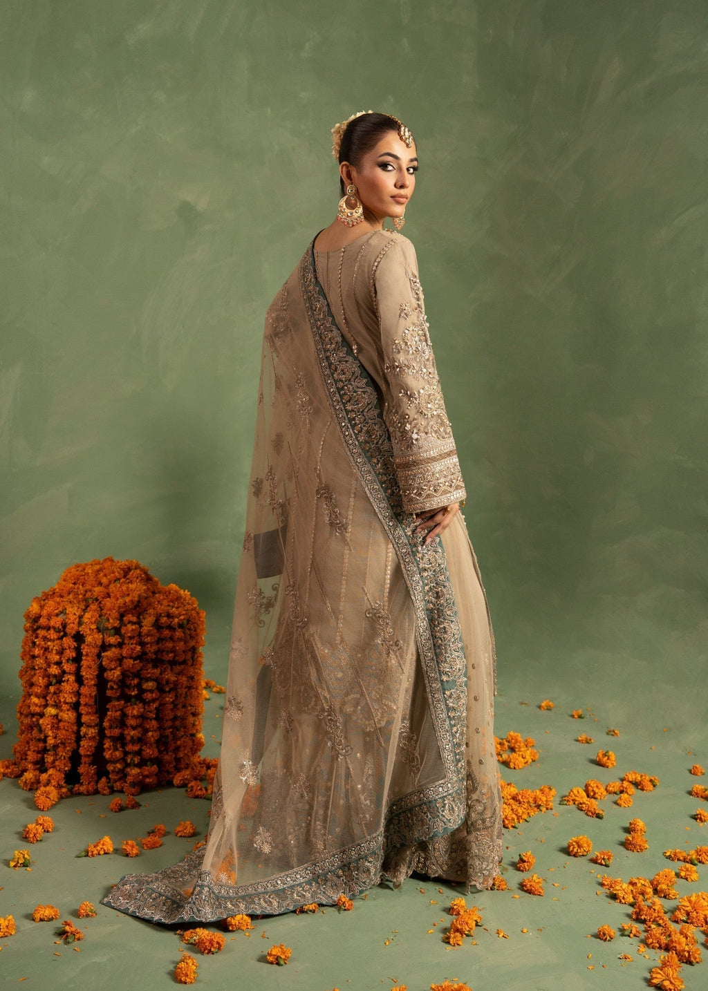 dilzaib-1538